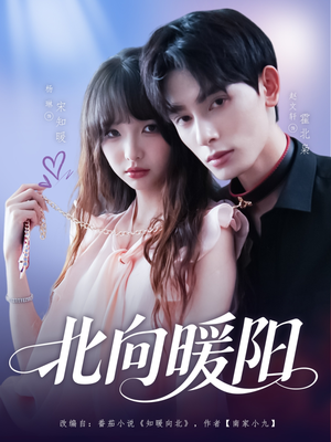 【北向暖阳】80集短剧免费在线直看