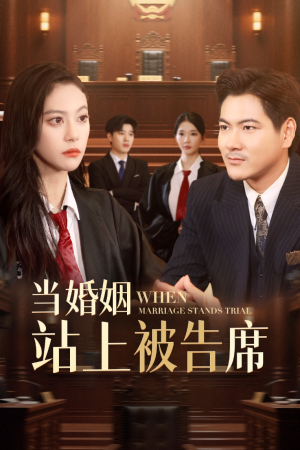 【当婚姻站上被告席】30集短剧免费全集赏览