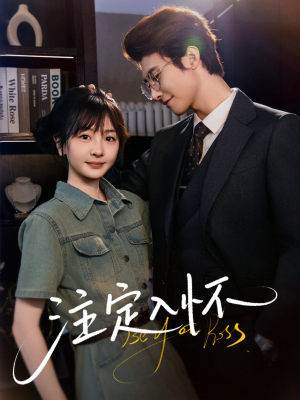 【注定入怀】70集全集短剧免费在线速看