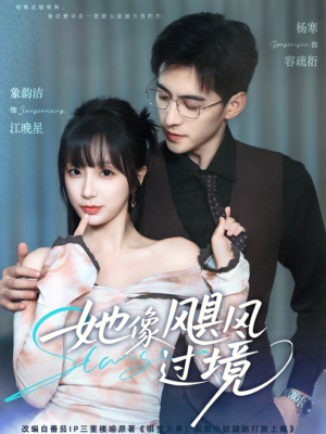 【她像飓风过境】81集短剧全集即刻观看