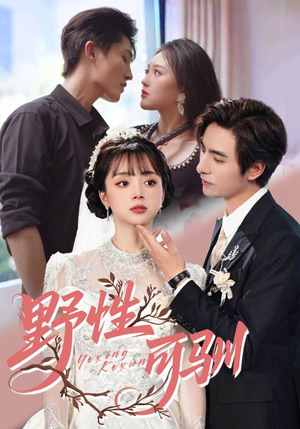 【野性可驯】63集在线短剧全集免费观览