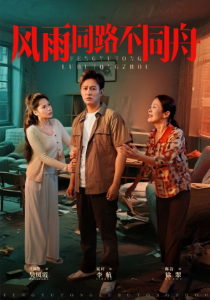 【风雨同居不同舟】32集短剧资源在线免费观