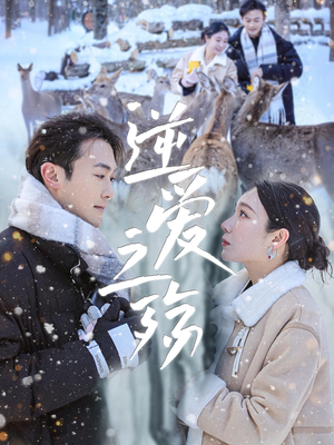 【逆爱之殇】60集短剧在线高清观看