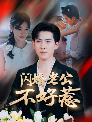 【闪婚老公不好惹】73集免费短剧全集览看