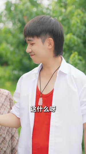 【极品小傻医】78集短剧免费高清在线看