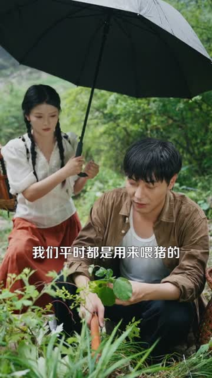 【让你去变形记，没让你带乡村致富】70集高清短剧全集免费看