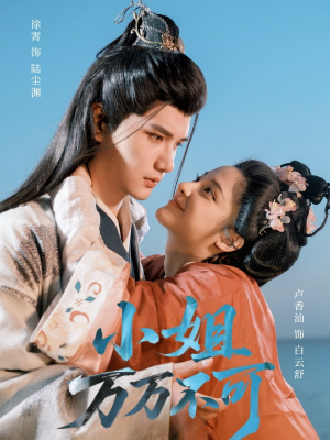 【小姐万万不可】74集短剧全集免费在线赏