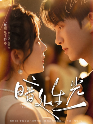 【暗处生光】82集完整短剧免费在线观赏