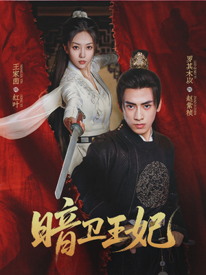 【暗卫王妃】60集短剧夸克网盘在线观