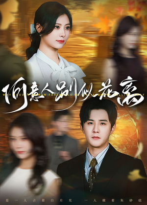 【何意人别似花离】61集免费短剧在线随心观