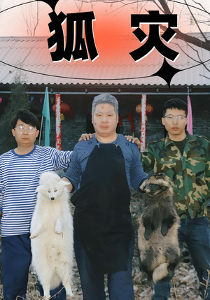 【狐灾】25集短剧免费在线高清品看