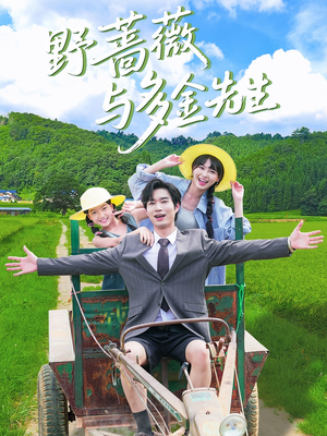 【野蔷薇与多金先生】63集短剧全集在线免费览