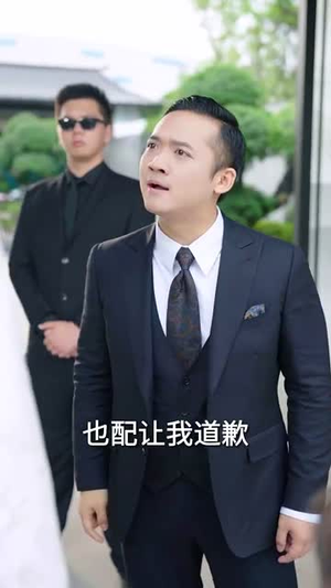 【小小圣手定乾坤】87集短剧全集免费观映