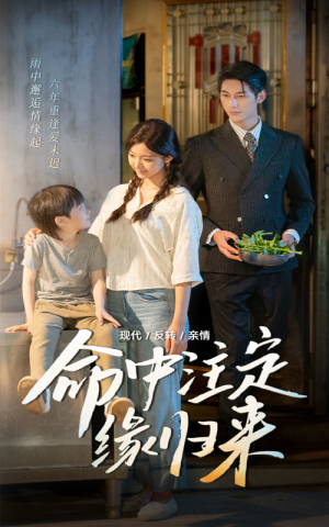 【命中注定缘归来】63集短剧全集在线免费观