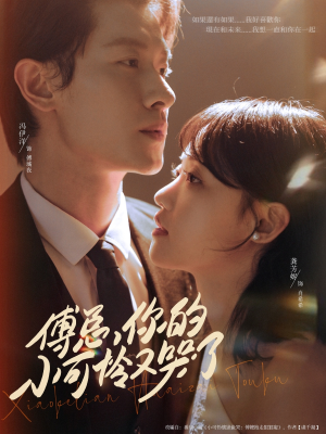 【傅总你的小可怜又哭了】80集免费短剧在线全集览