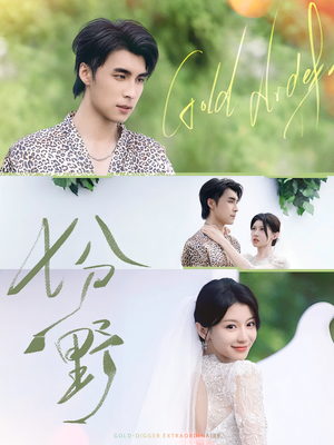 【七分野】78集短剧全集在线免费观