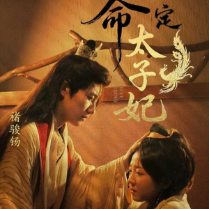 【命定太子妃】63集短剧免费完整观看