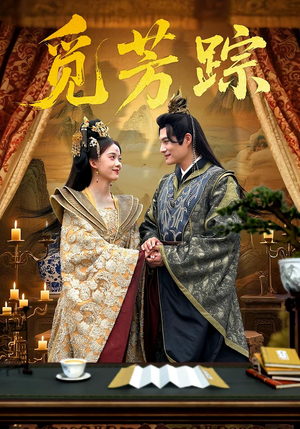 【觅芳踪】91集高清短剧免费全集观看