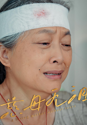 【慈母无泪】30集短剧在线观看无广告