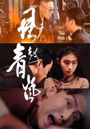 【风起青岚】96集短剧全网免费在线看