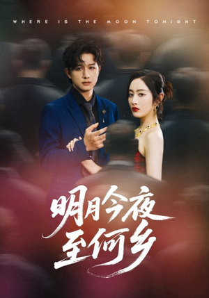 【明月今夜至何乡】70集短剧免费全集在线播放