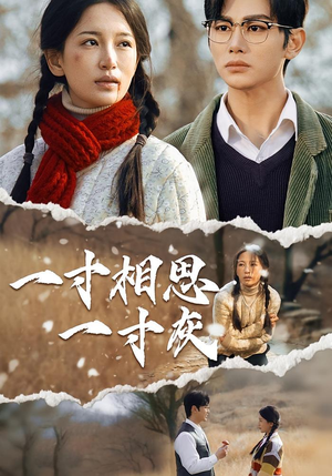 【一寸相思一寸灰】43集短剧免费即点即看