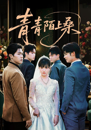 【青青陌上桑】70集短剧全网免费看全集