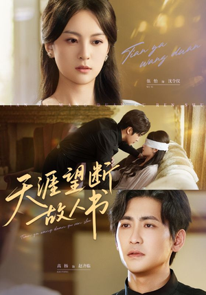 【天涯望断故人书】60集免费短剧在线畅看