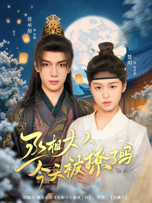 【丞相大人今天被撩了吗】80集免费短剧全集网络在线看