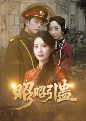 【昭昭引蛊】42集短剧免费在线全集览