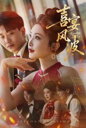 【喜宴风波&替罪伴娘】30集短剧免费在线完整赏看
