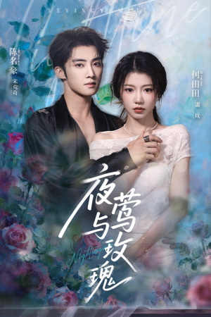 【夜莺与玫瑰】66集短剧免费全集速览