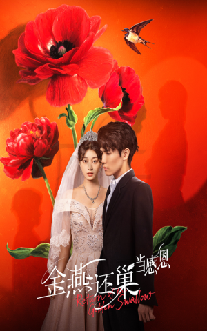 【金燕还巢当感恩】全集55集在线短剧免费观