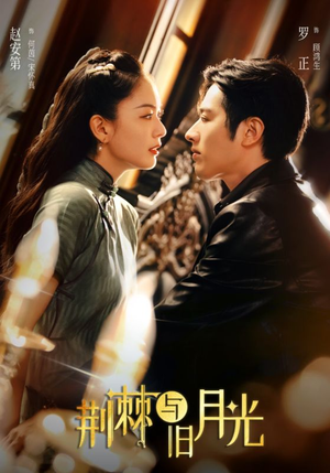 【荆棘与旧月光】80集短剧免费高清在线赏