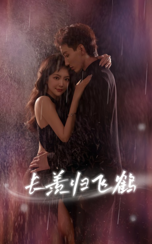 【长羡归飞鹤】70集在线短剧免费畅看