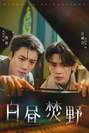 【白昼焚野】70集免费短剧全集在线播放