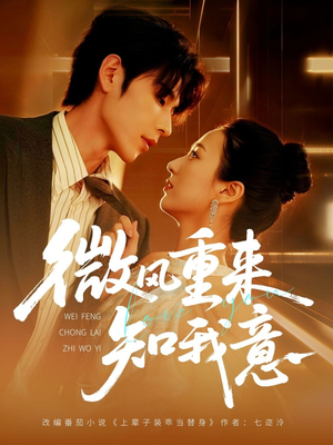 【微风重来知我意】62集精彩短剧免费全集观赏