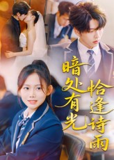 【暗处有光恰逢诗雨】70集高清短剧免费在线看