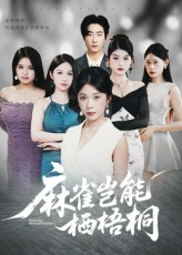 【麻雀岂能栖梧桐】31集在线短剧免费畅快观