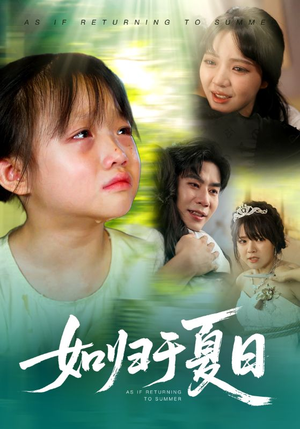 【如归于夏日】65集短剧全集免费在线览