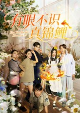 【有眼不识真锦鲤】35集短剧免费在线畅览