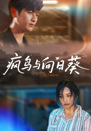 【疯鸟与向日葵】40集免费短剧在线尽情看