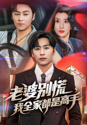 【婆别慌我全家都是高手】58集免费短剧在线全观看