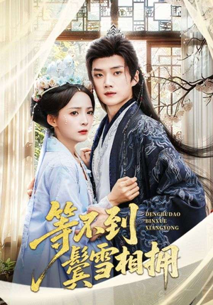 【等不到鬓雪相拥】61集短剧资源免费在线赏看