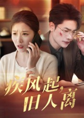 【疾风起旧人离】在线短剧32集免费完整赏