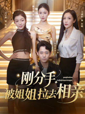 【刚分手被姐姐拉去相亲】73集短剧免费全集观映