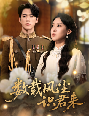 【数载风尘识君来】62集短剧免费在线看全集