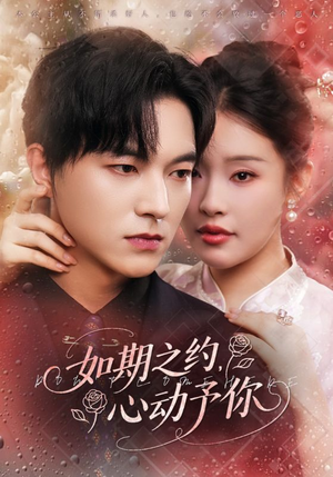 【如期之约心动予你】82集免费短剧完整版观