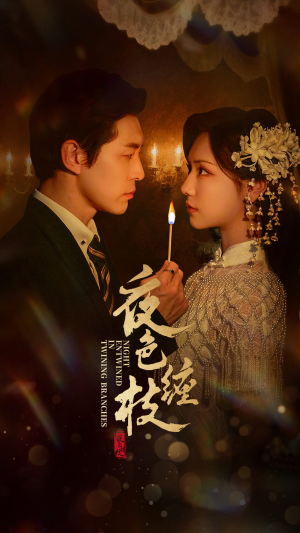 【夜色缠枝百度HE版本】62集短剧免费全集速看