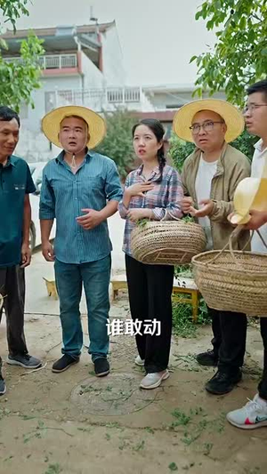 【我就种个地怎么就无敌了&种地没前途那你问问我的十万亩地】68集短剧免费在线览看